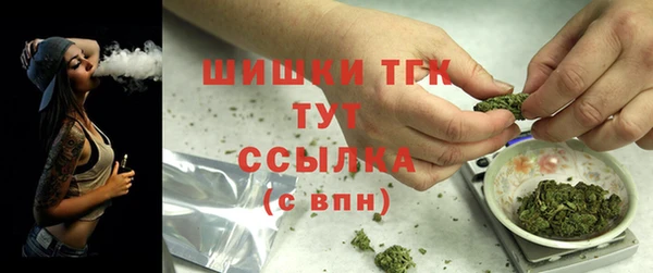 дмт Богданович