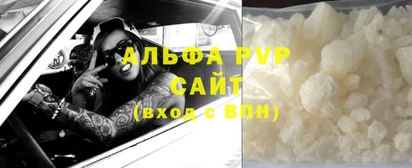 дмт Богданович