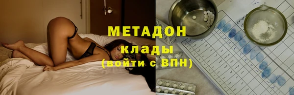 дмт Богданович