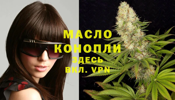 дмт Богданович
