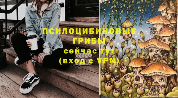 не бодяженный Богородицк