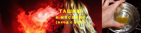 стаф Зеленокумск
