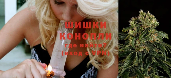 дмт Богданович